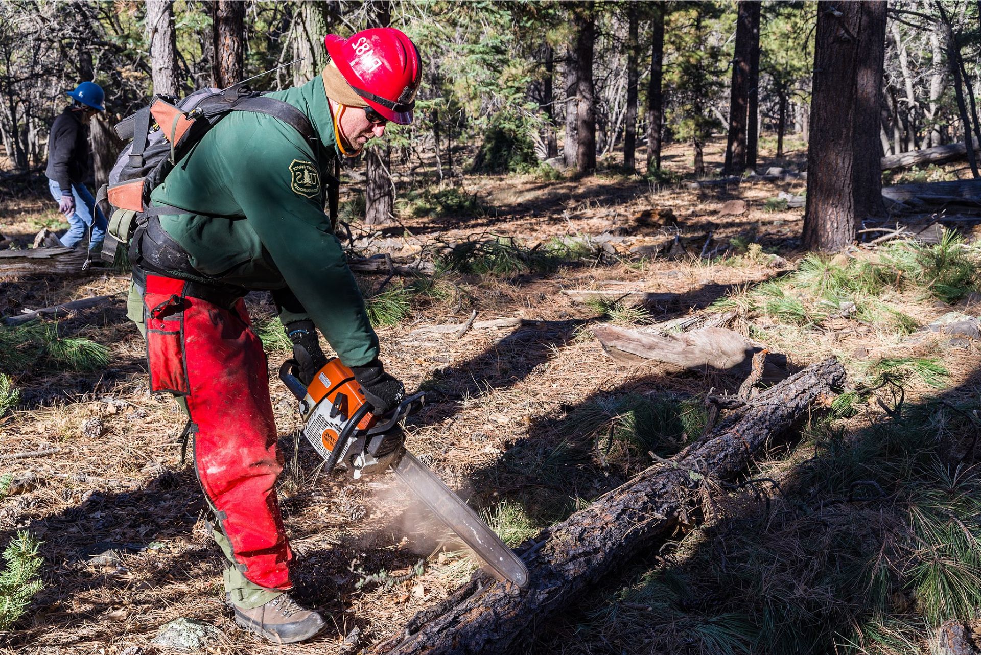 Top 9 Left Handed Chainsaws A Comprehensive Buyer's Guide