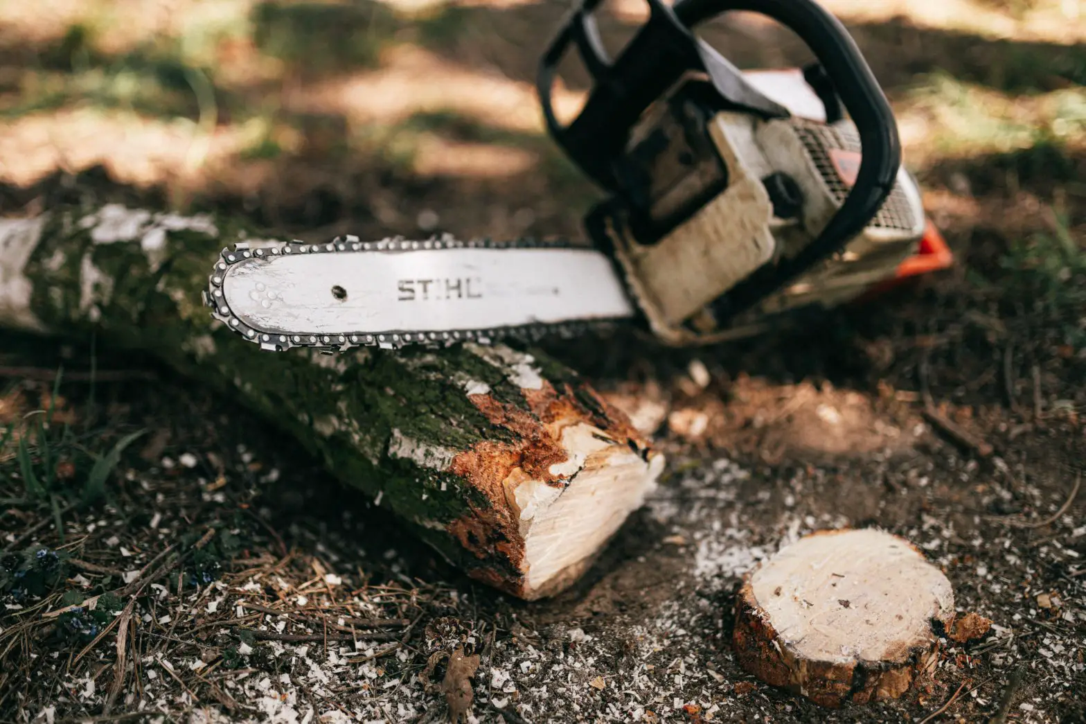 6 Best Budget Chainsaws: Top Picks & Reviews