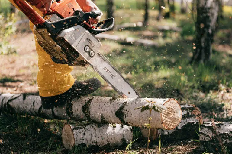 Photo of person using chainsaw
