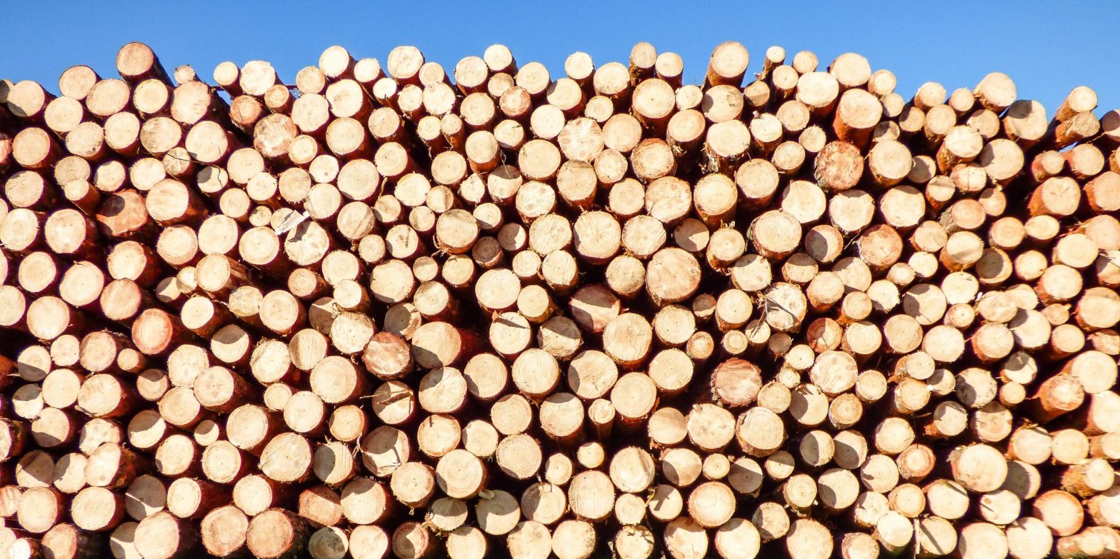 Cord of Wood for Sale Near Me
Your One-Stop Shop for Firewood and Wood Products Cord of Wood for Sale Near Me
Your One-Stop Shop for Firewood and Wood Products