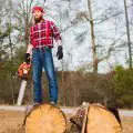 Best Chainsaws: Top Picks, Reviews & Buying Guide