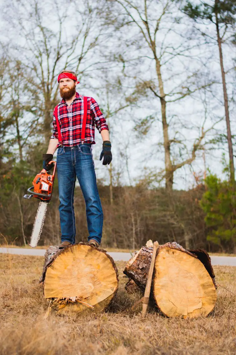 Best Chainsaws: Top Picks, Reviews & Buying Guide