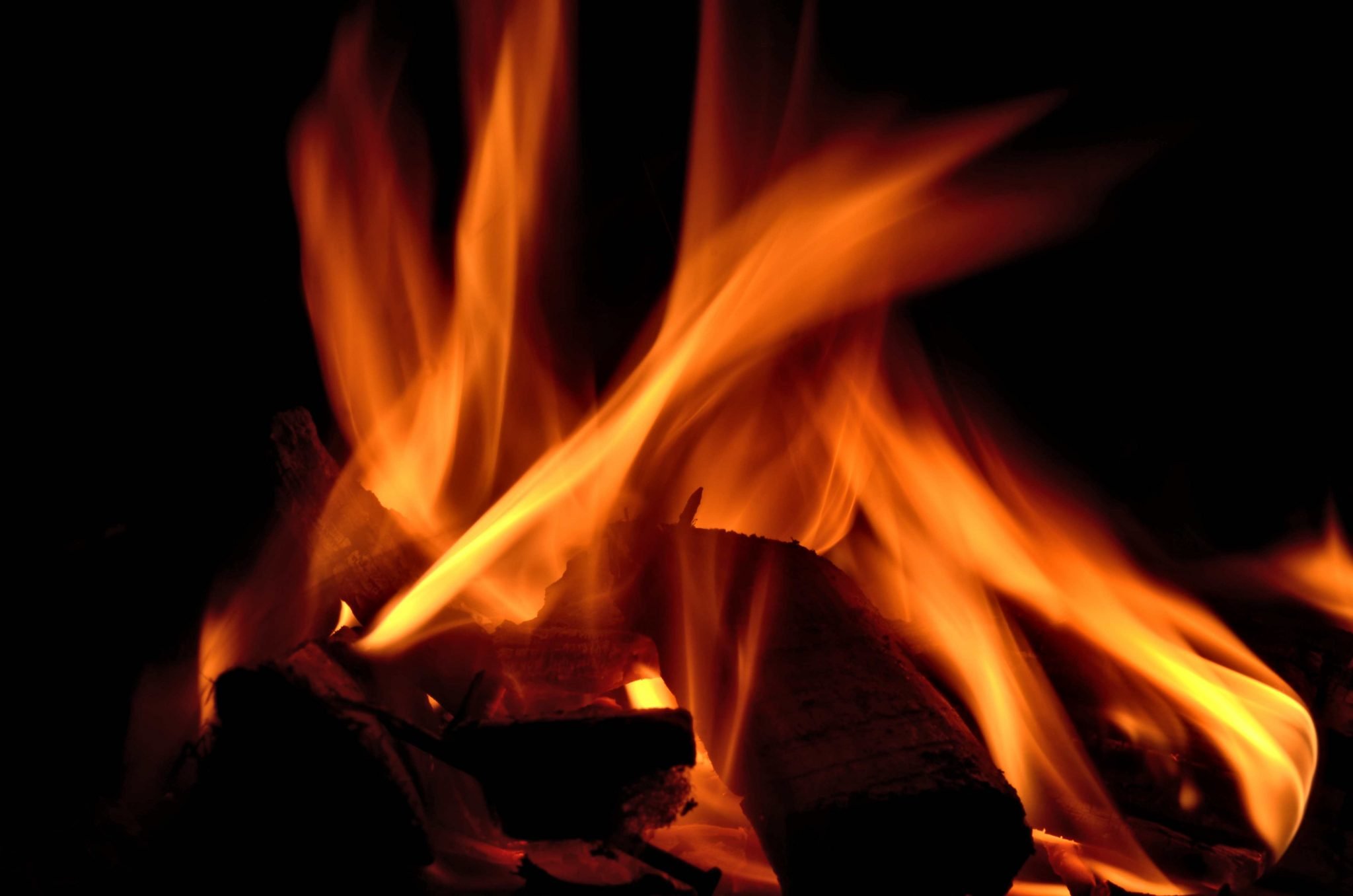 The Best Smelling Firewood "Hot List" Try These!