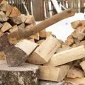 Firewood Identification & How To Identify Different Types Of Firewood