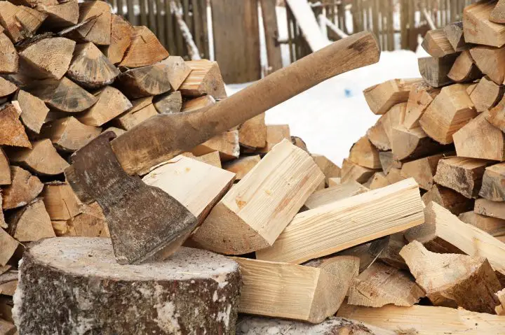 Firewood Identification & How To Identify Different Types Of Firewood