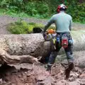Chainsaw Won't Cut Straight - Causes & Solutions