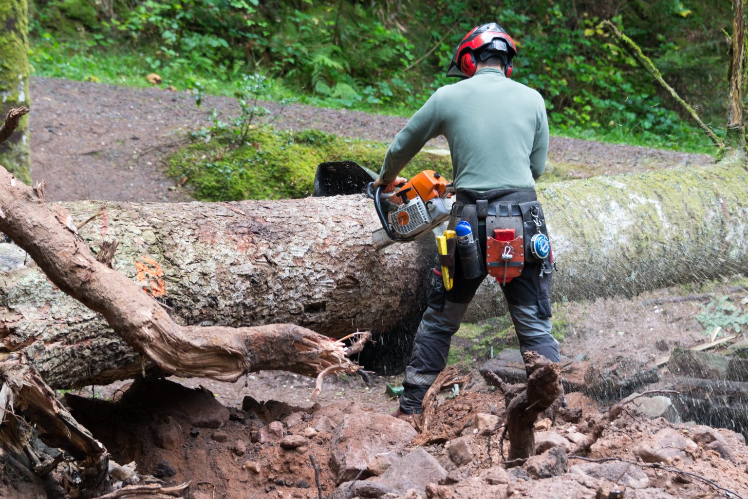 Leather Chainsaw Chaps vs Kevlar Chainsaw Pants Compared