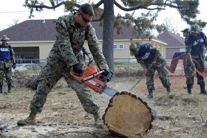 Chainsaw Smoking When Cutting? Reasons & Solutions