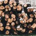 Best Firewood Chainsaw: Top Picks & Reviews