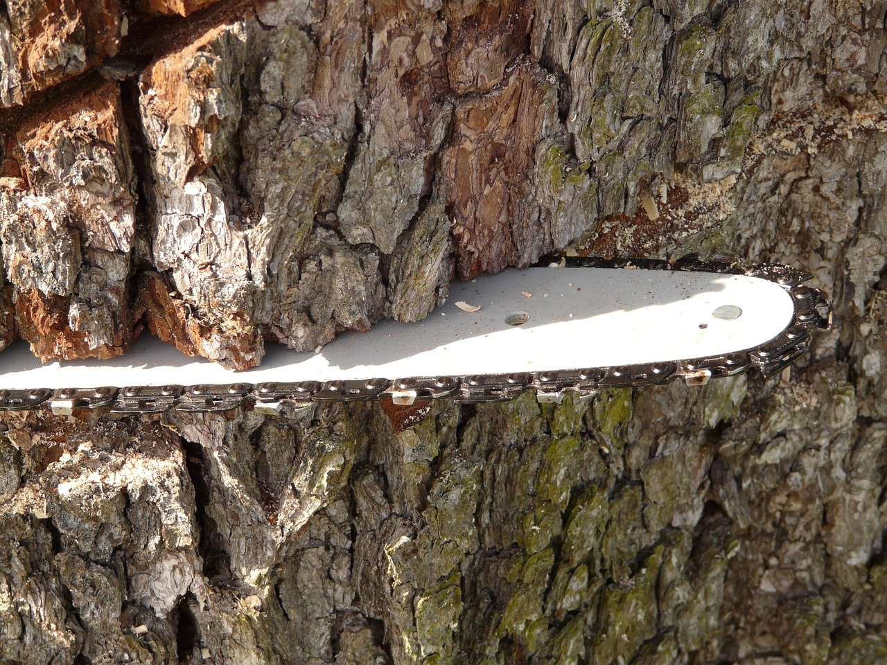 Can I Put a Longer Bar on My Chainsaw? Benefits & How to Guide