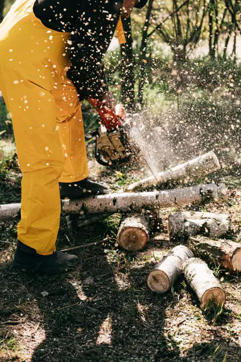 Crop worker cutting log in forest