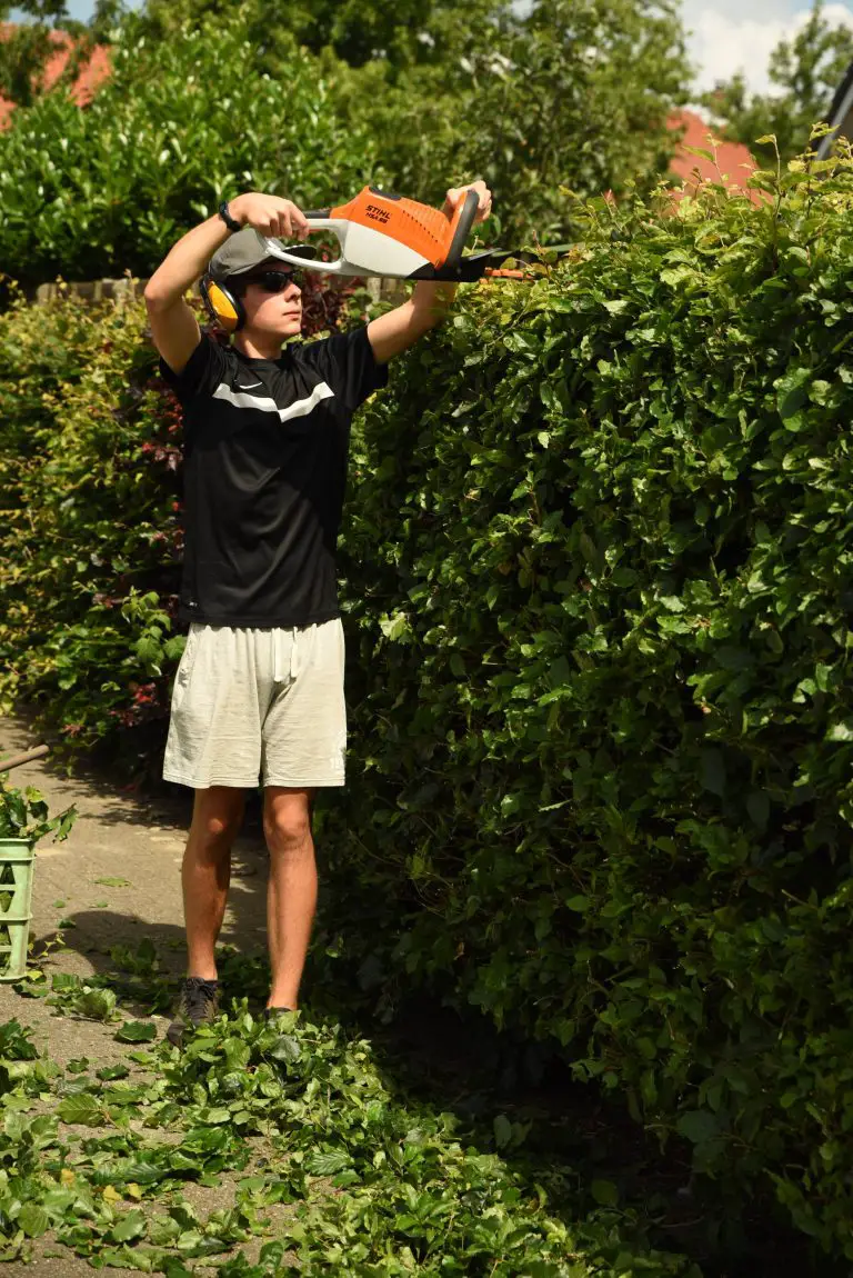 Man trimming the hedges with a power tool